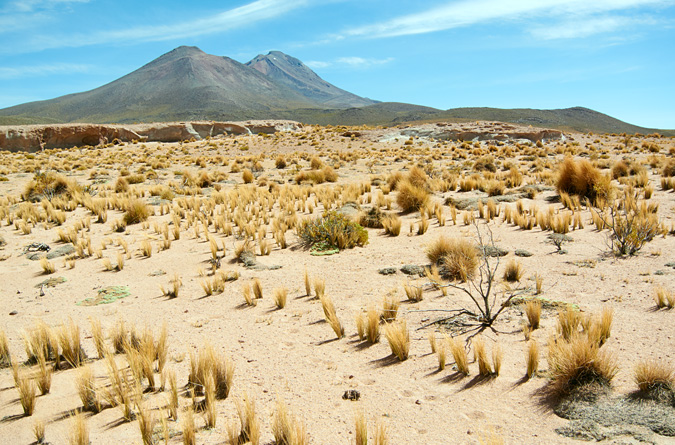 Боливийская пустыня и вулкан Олагуе
