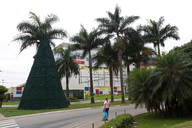 Новогодняя елка по-бразильски