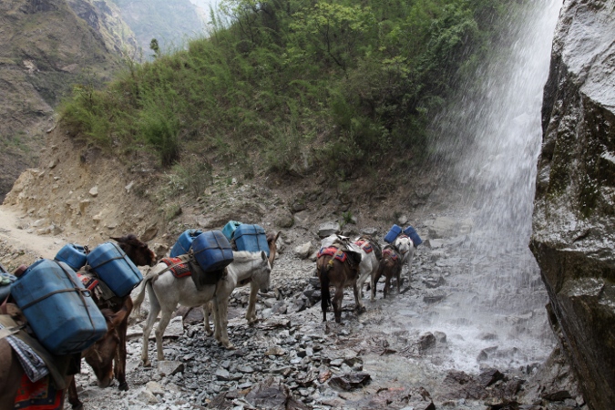 караван мулов под водопадом