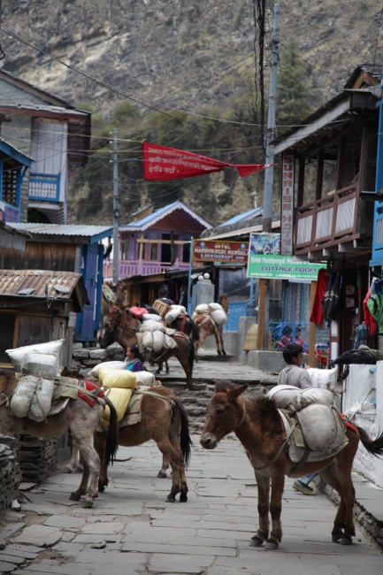 караван мулов в селе, Непал