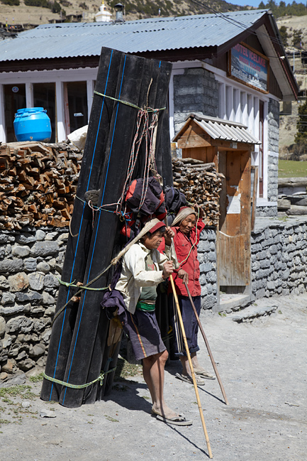 непальский портер с трубами