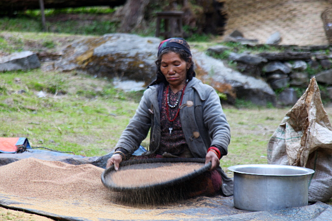 Непал, Дхаулагири трек, женщина просеивает рис