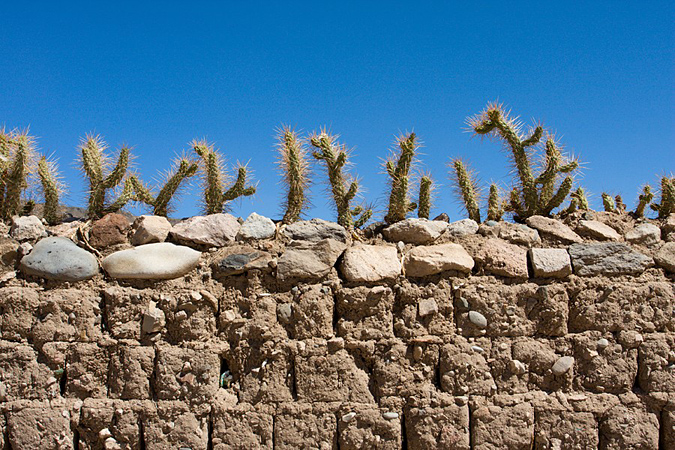 Забор украшенный кактусами в Перу