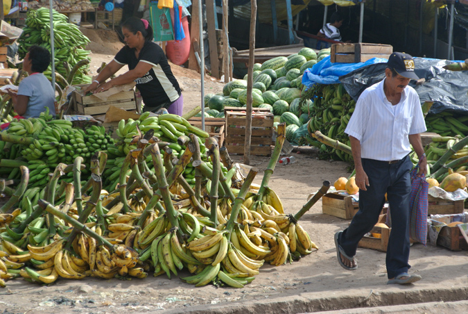 Бананы на берегу в Пукальпе, Перу