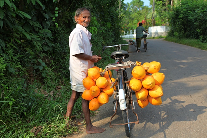 Продавец кокосовых орехов на Шри Ланке
