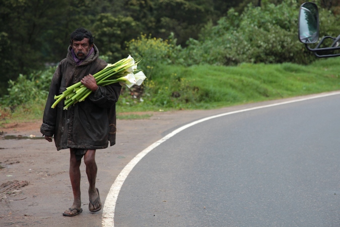 мужик с цветами, Шри-Ланка