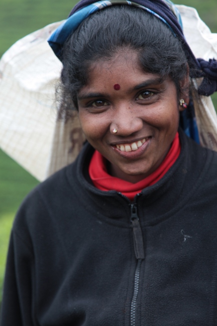 портрет сборщцы чая, Шри-Ланка