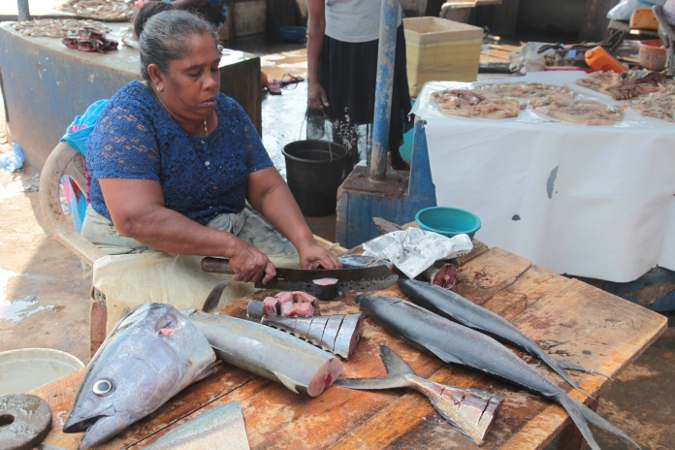 Рыбный рынок в Негомбо, Шри-Ланка