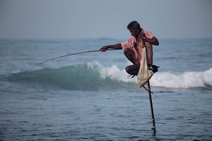 рыбак на шесте, Шри-Ланка