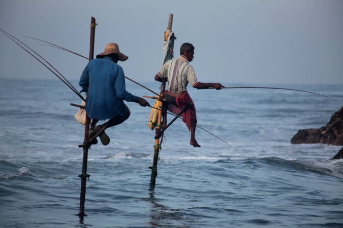 рыбаки на шестах, Шри-Ланка
