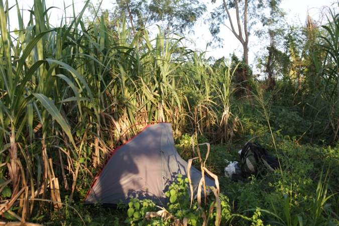 палатка на плантации сахарного тростника, Шри-Ланка