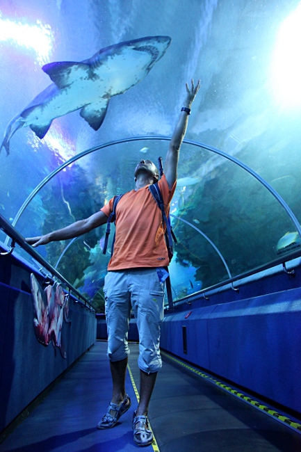 Куала Лумпур, океанариум, подводный туннель