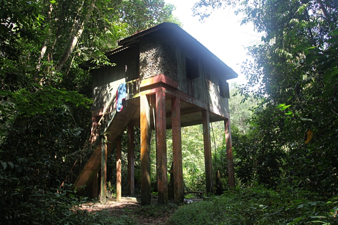 укрытие для наблюдения за животными в дождевом лесу Таман Негара
