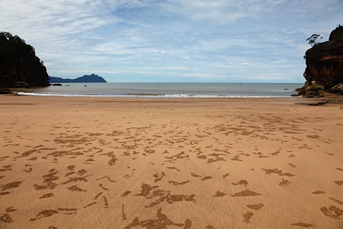 Борнео, норки крабиков на пляже