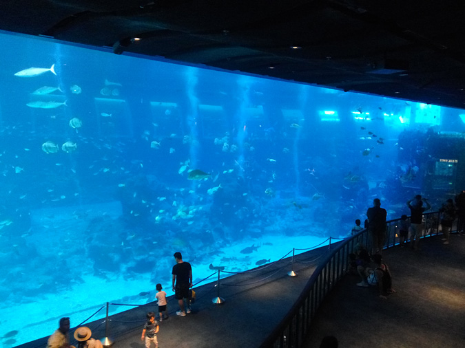 Океанариум в Сингапуре