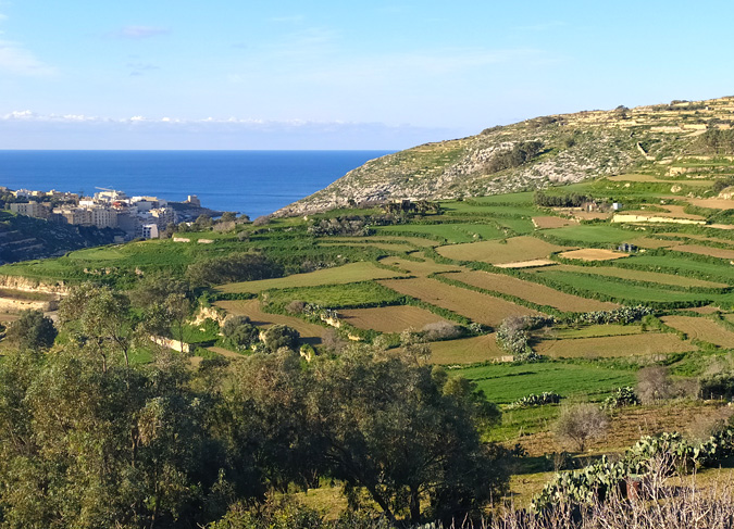 терассы и огороды на Мальте