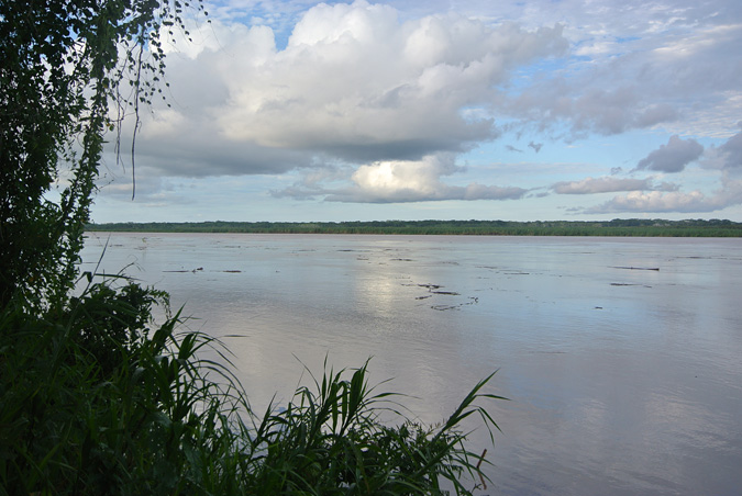 Бревна в реке Укаяли